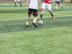 巴斯克斯谈,主帅去留,频繁换帅常,乐竞体育,乐竞体育官网,乐竞体育官方,乐竞体育下载