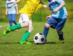 李幼斌强调,民族英雄更,值得追捧,乐竞体育,乐竞体育官网,乐竞体育官方,乐竞体育下载