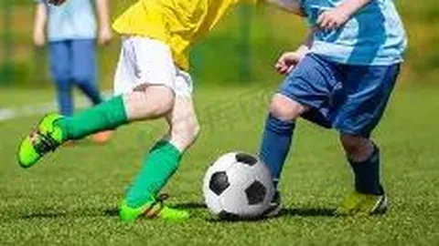 乐竞体育 产品 083208 ro2