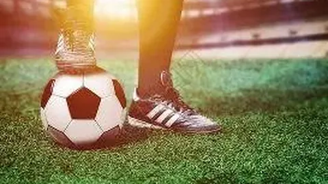 乐竞体育 资讯 084031 vzo