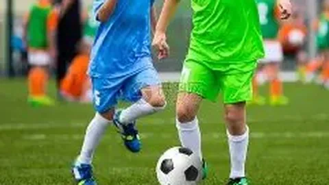 解码中央农村工作会议关键要点